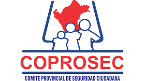 seguridad ciudadana